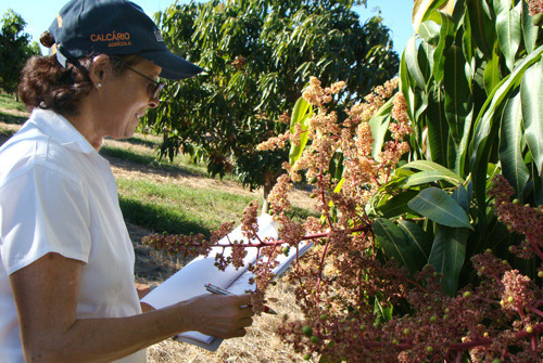 Vinte e quatro empreendedoras baianas disputam premia��