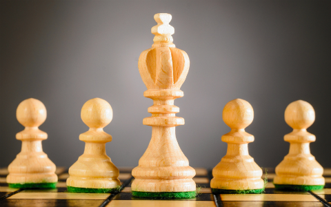 Talentos femininos transformam o empreendedorismo