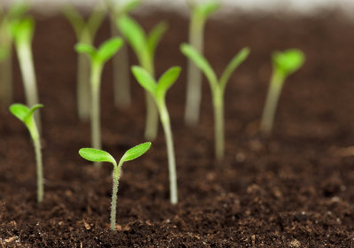 Germinadora inaugura sede em S�o Paulo para preparar empreendedores