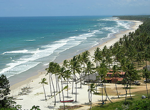 Empreendedores de Ilh�us formam rede de neg�cio