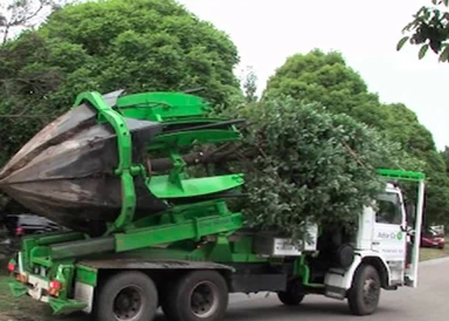 M�quina pode salvar milh�es de �rvores